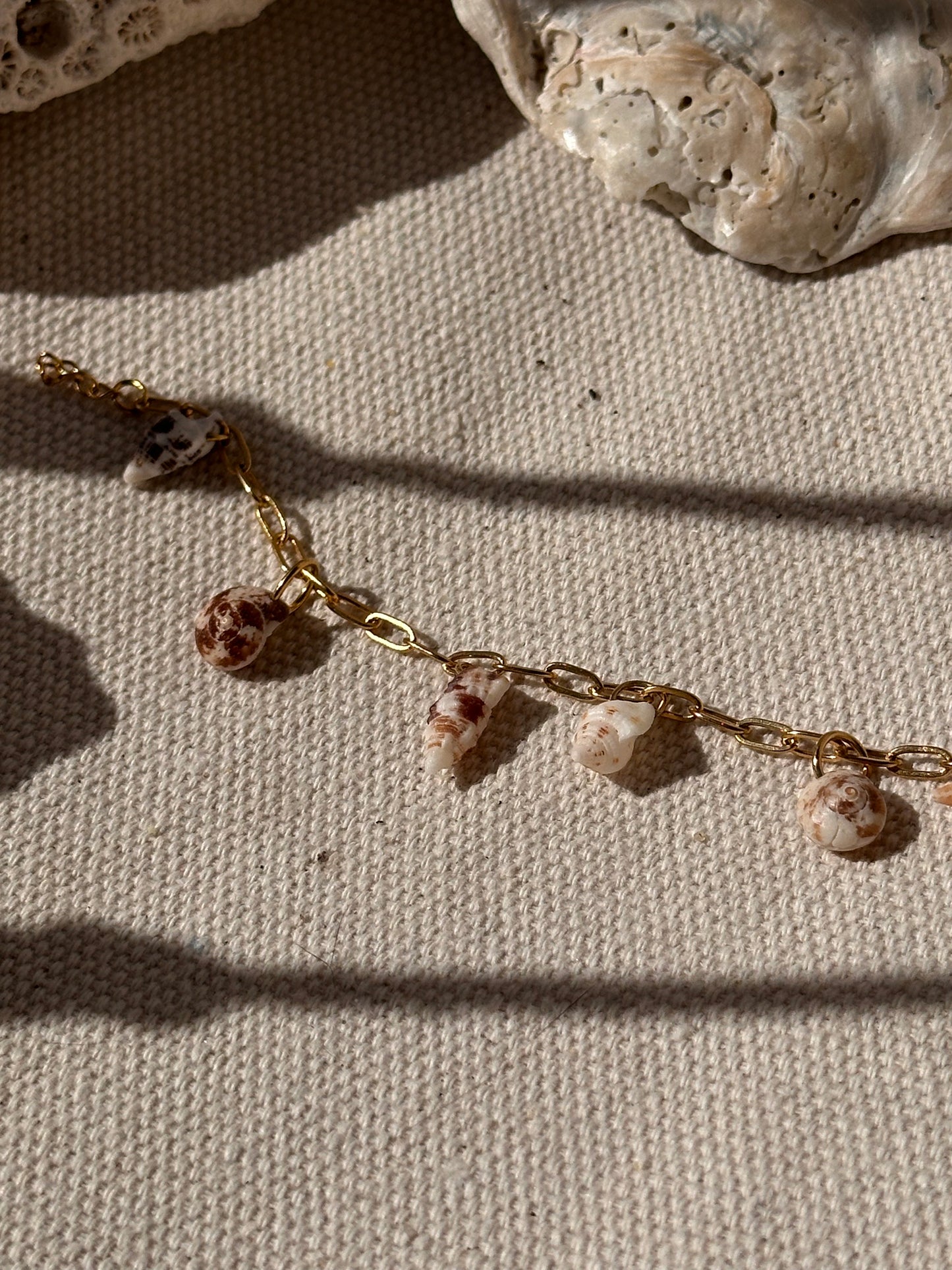 Shell Bracelet