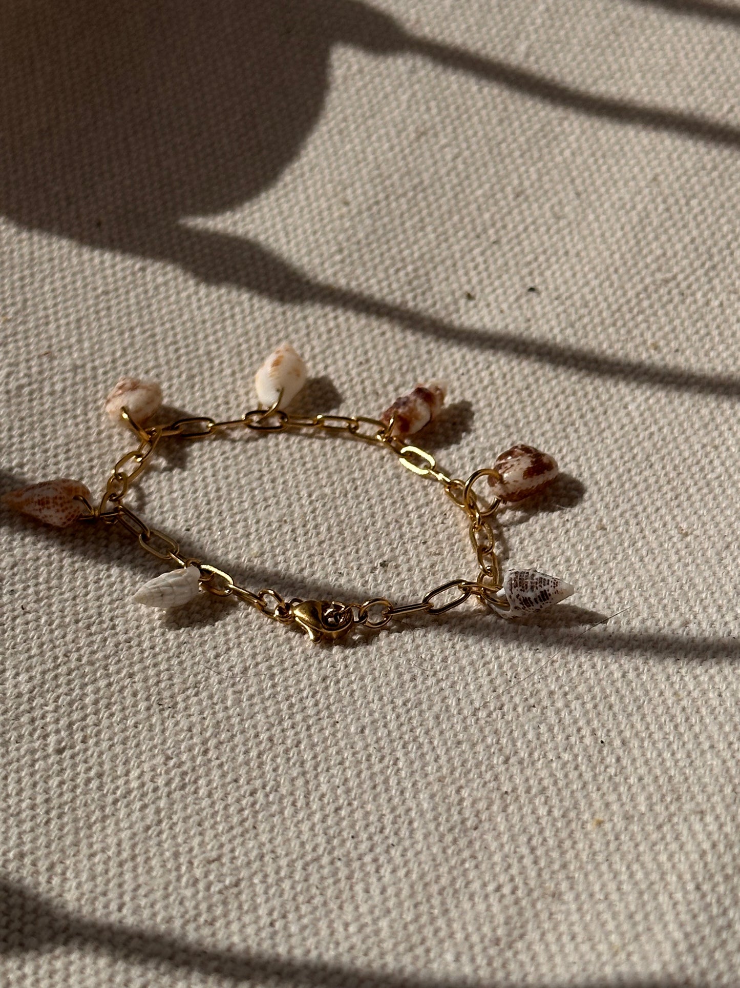 Shell Bracelet