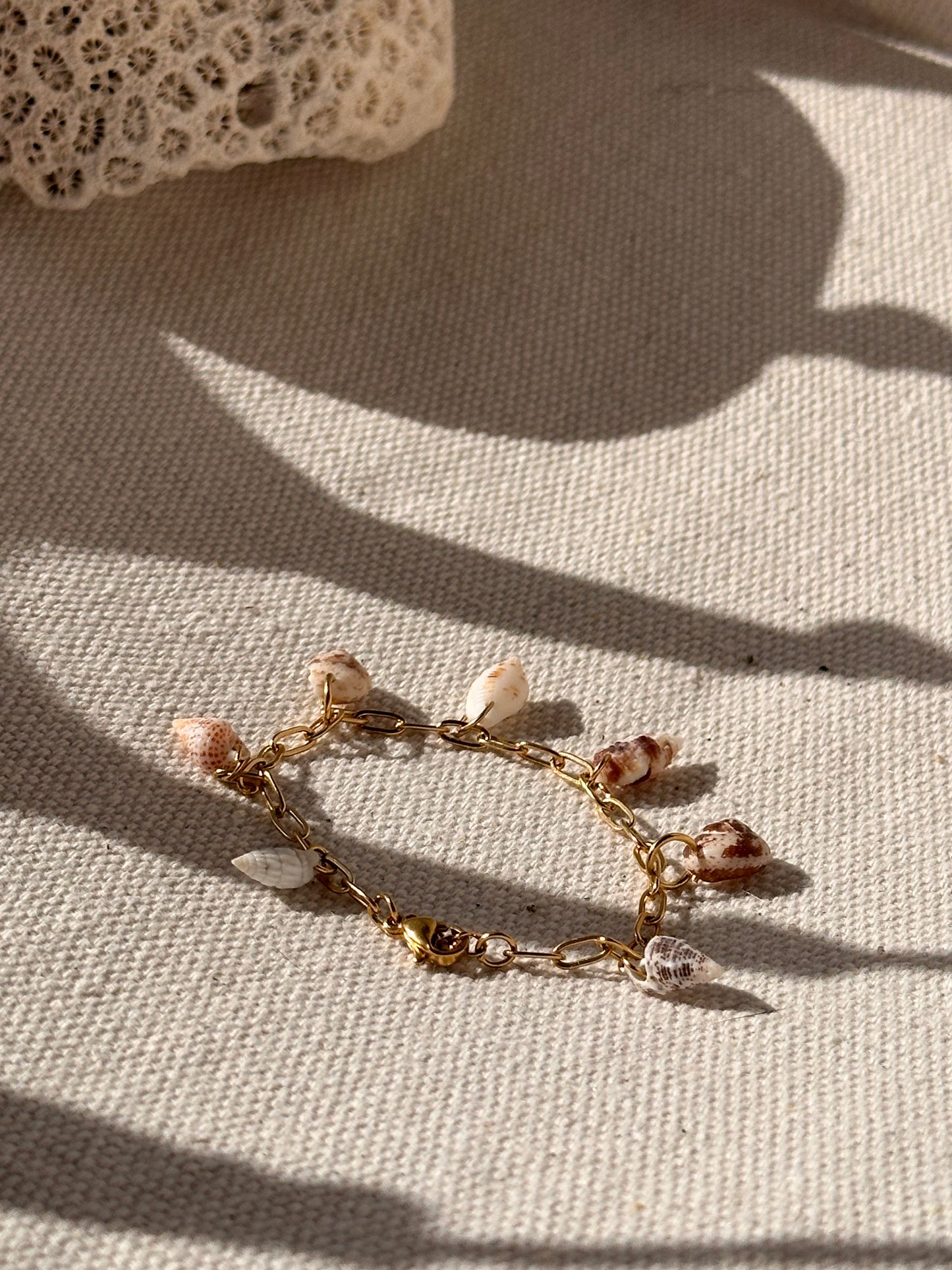 Shell Bracelet