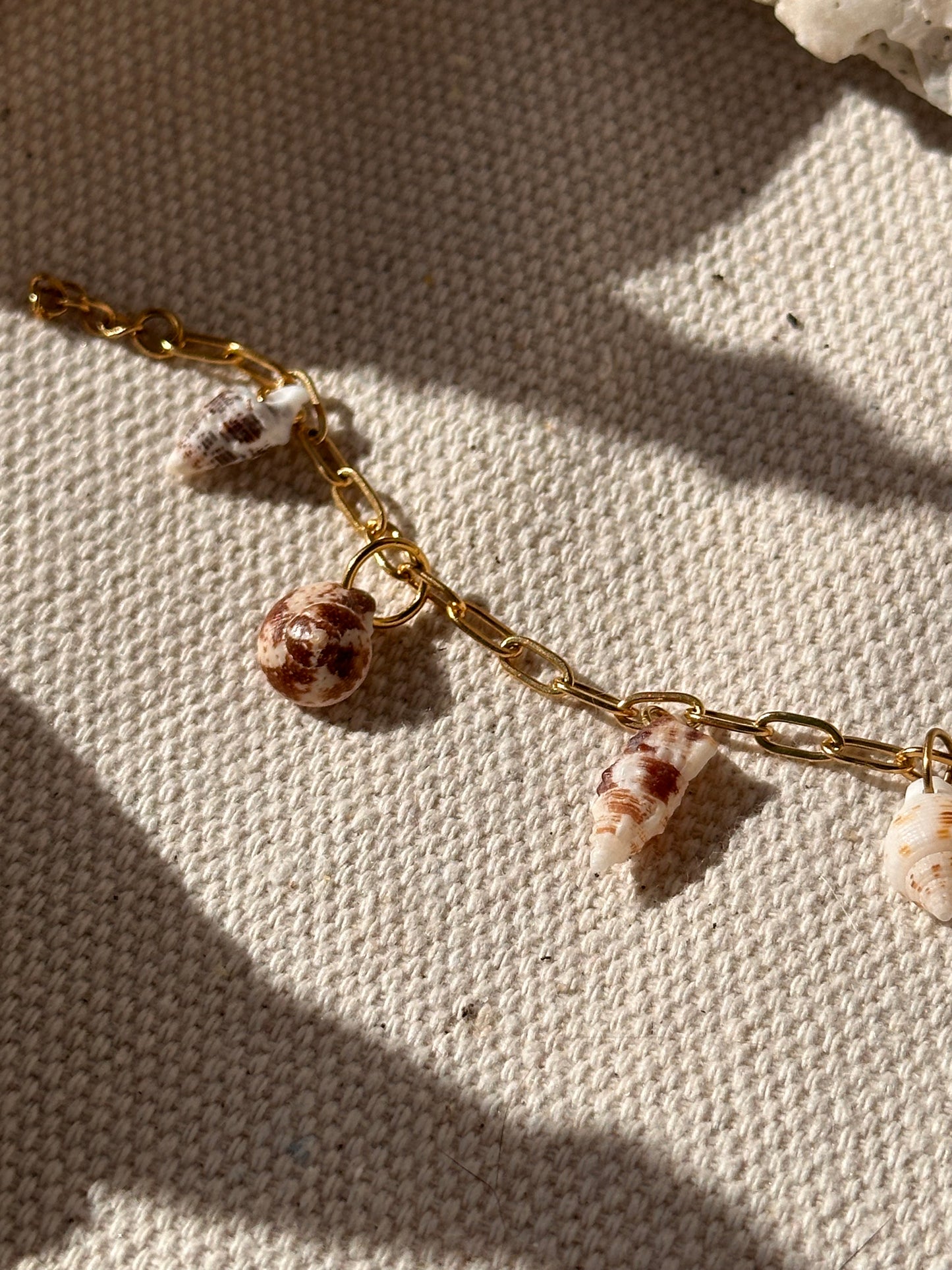 Shell Bracelet