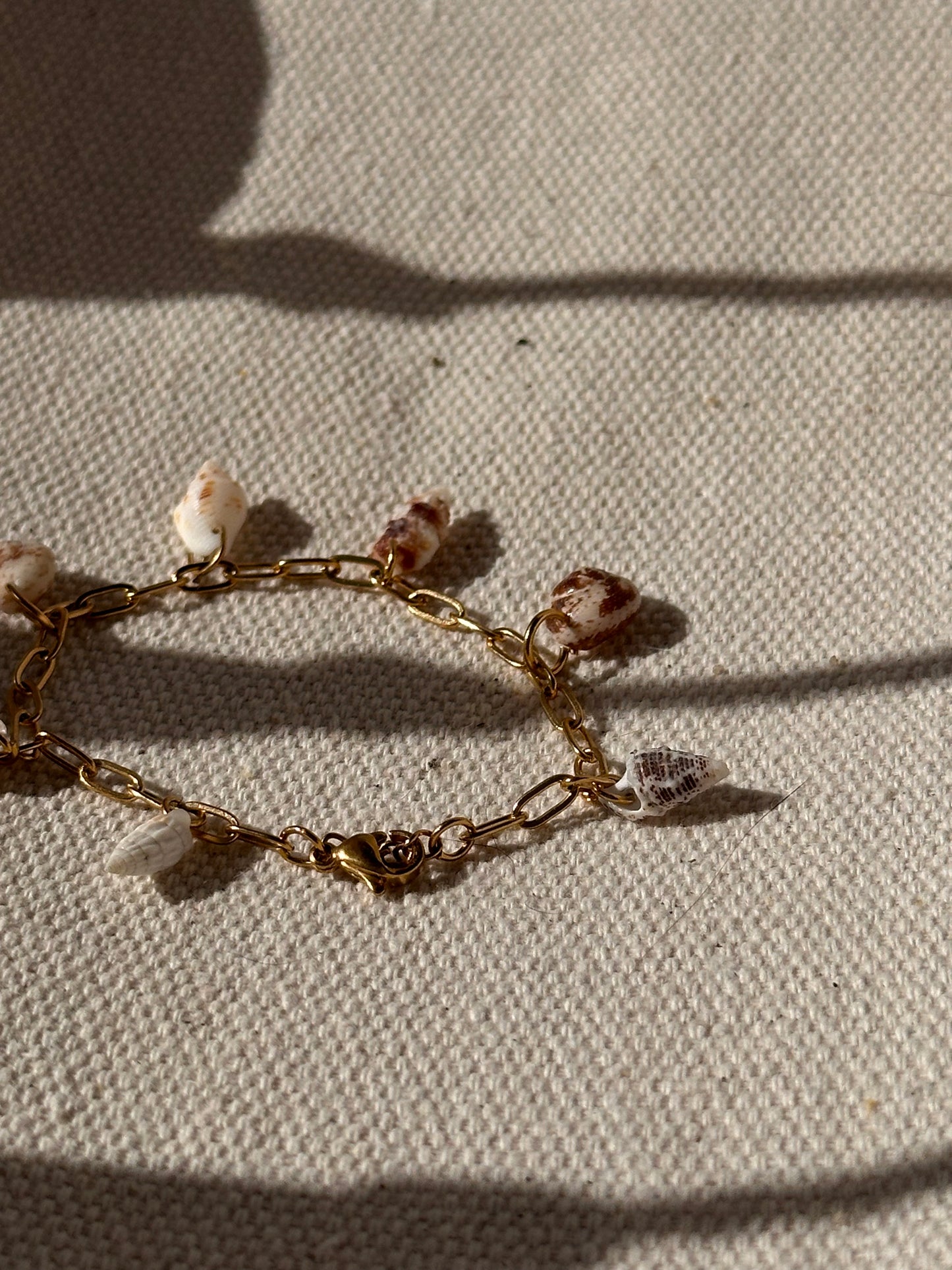 Shell Bracelet