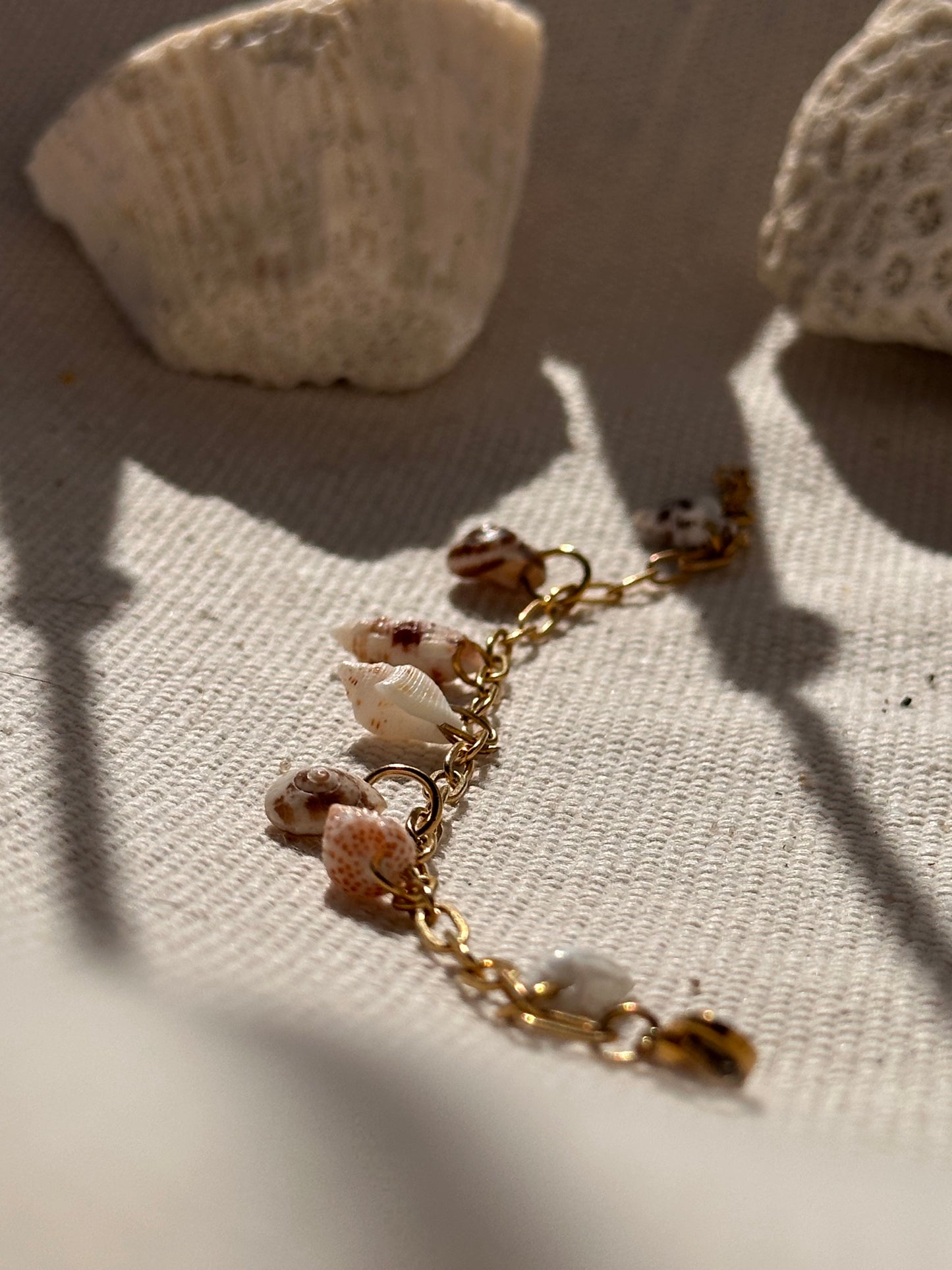 Shell Bracelet