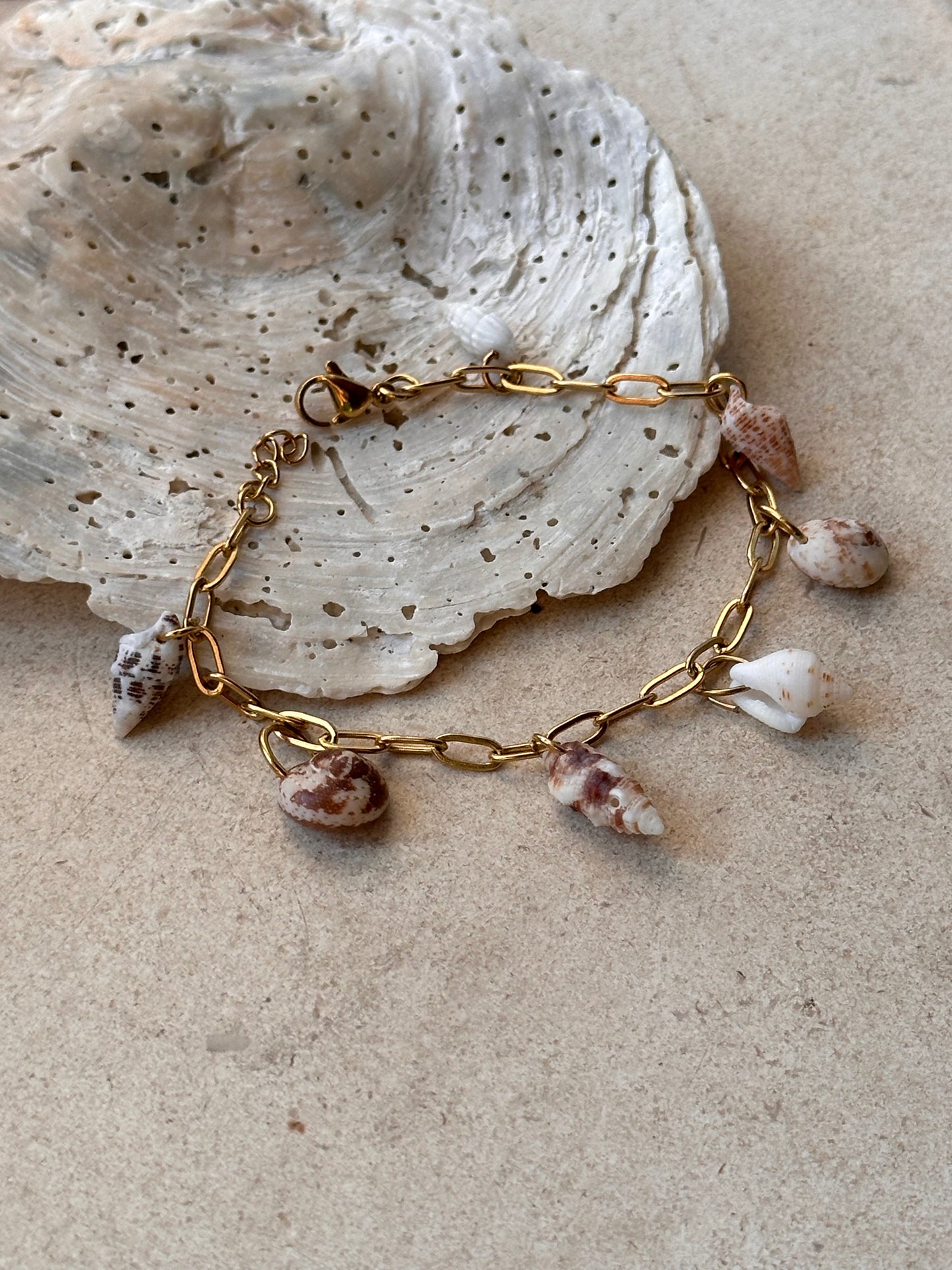 Shell Bracelet