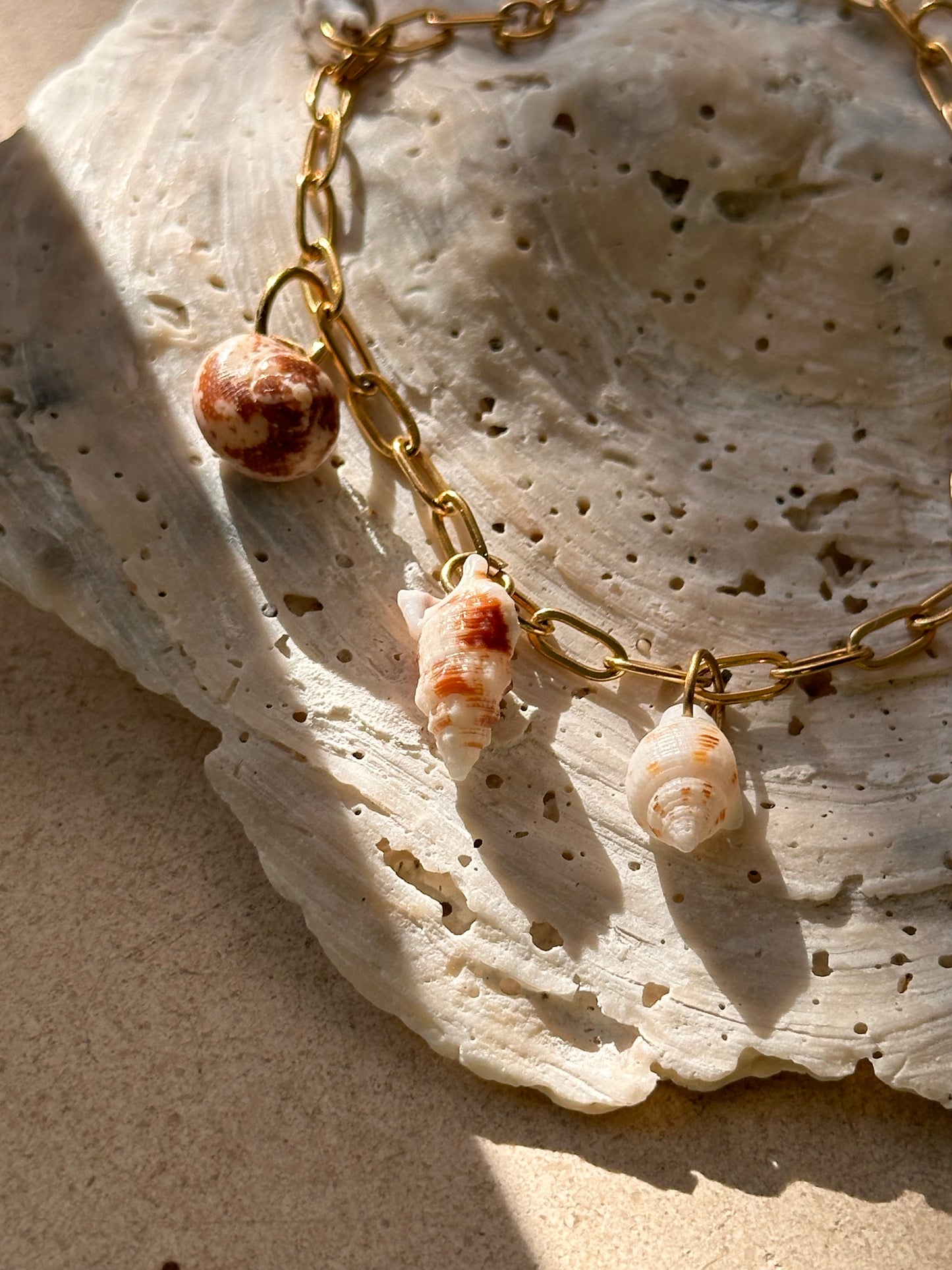 Shell Bracelet