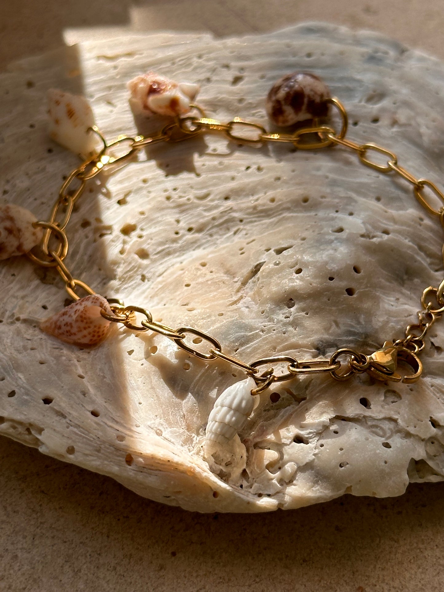Shell Bracelet