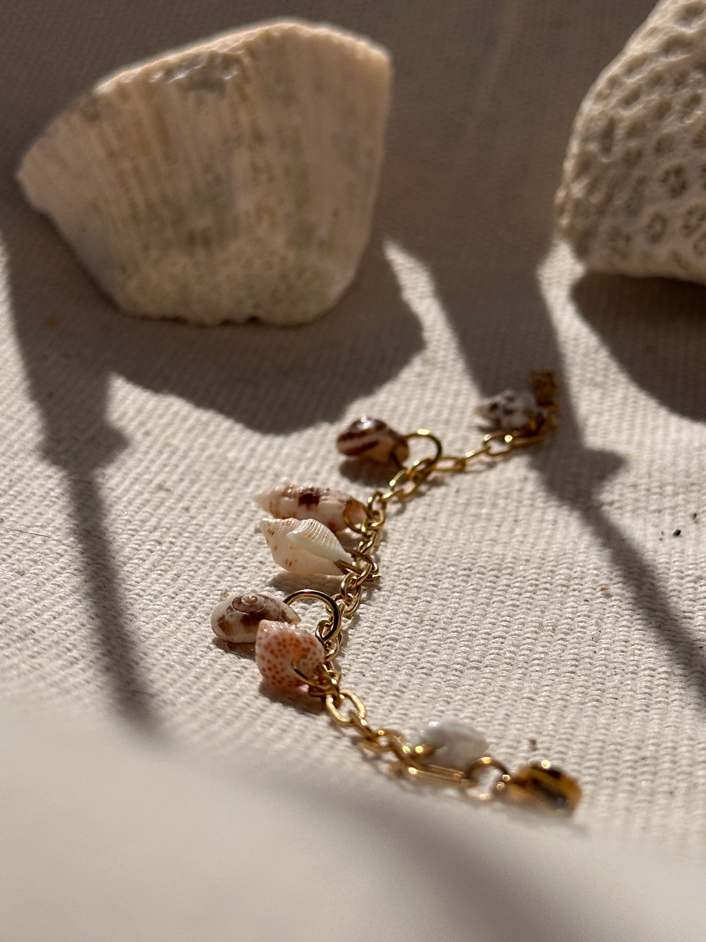 Shell Bracelet
