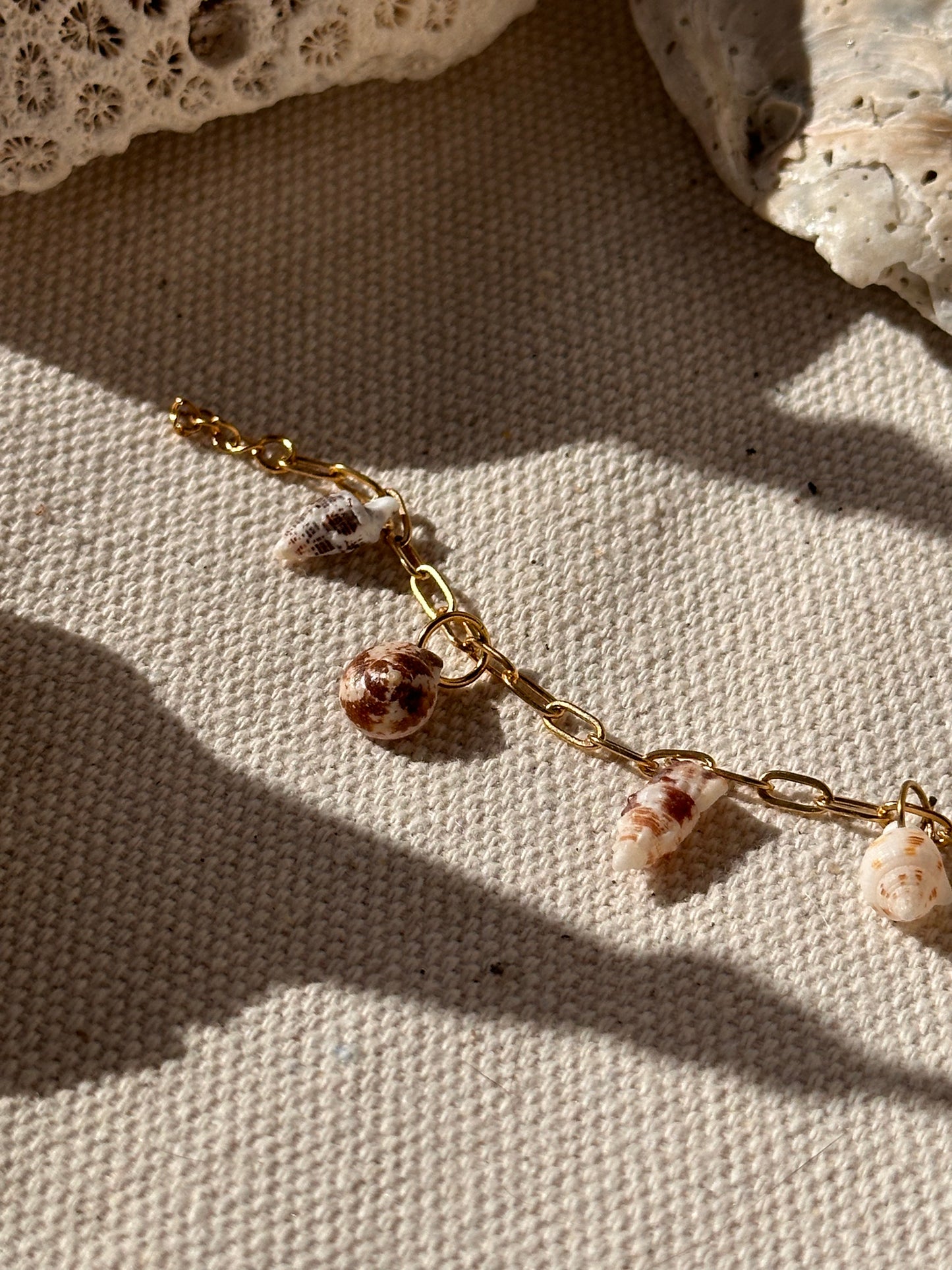 Shell Bracelet
