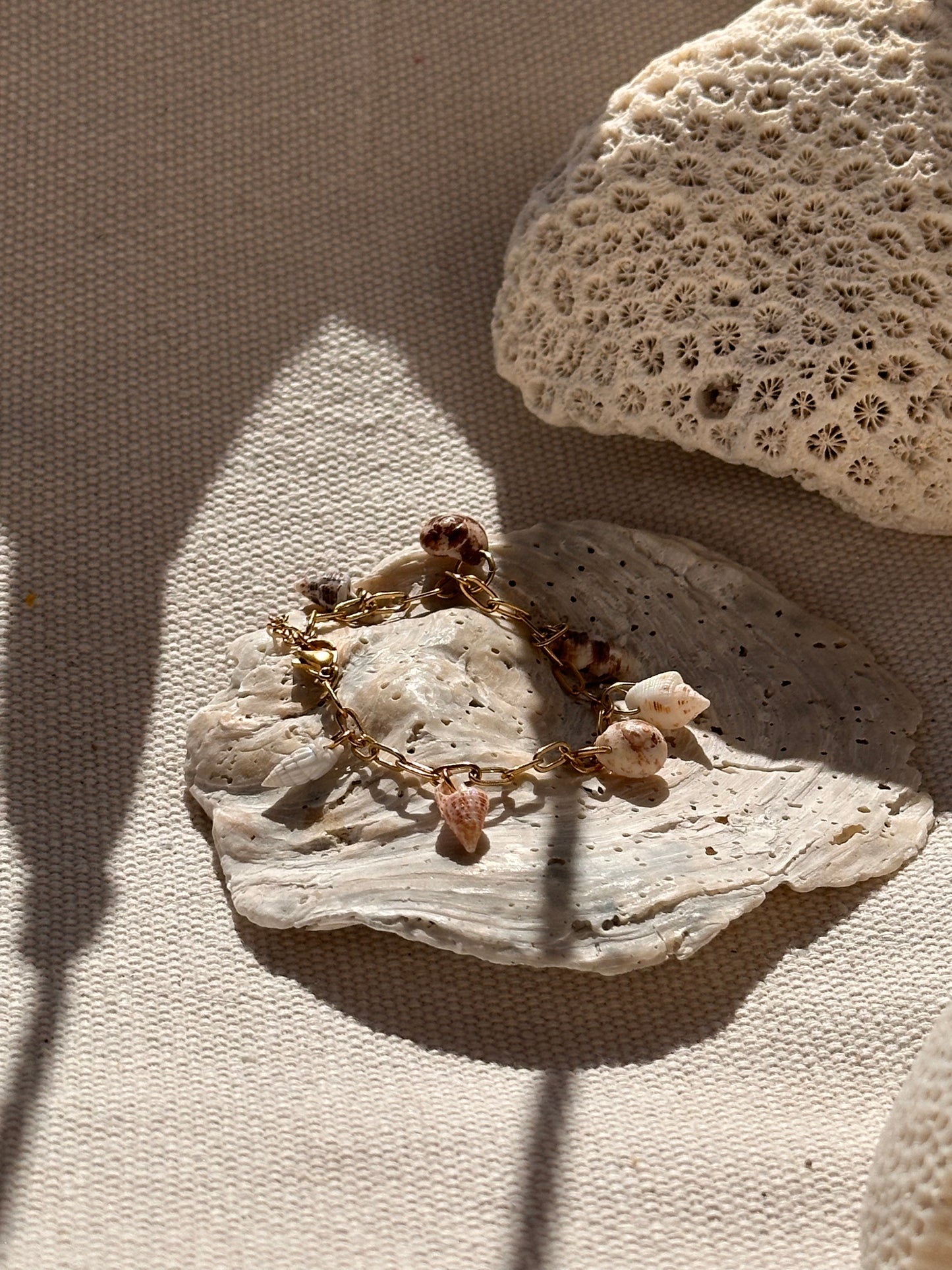 Shell Bracelet