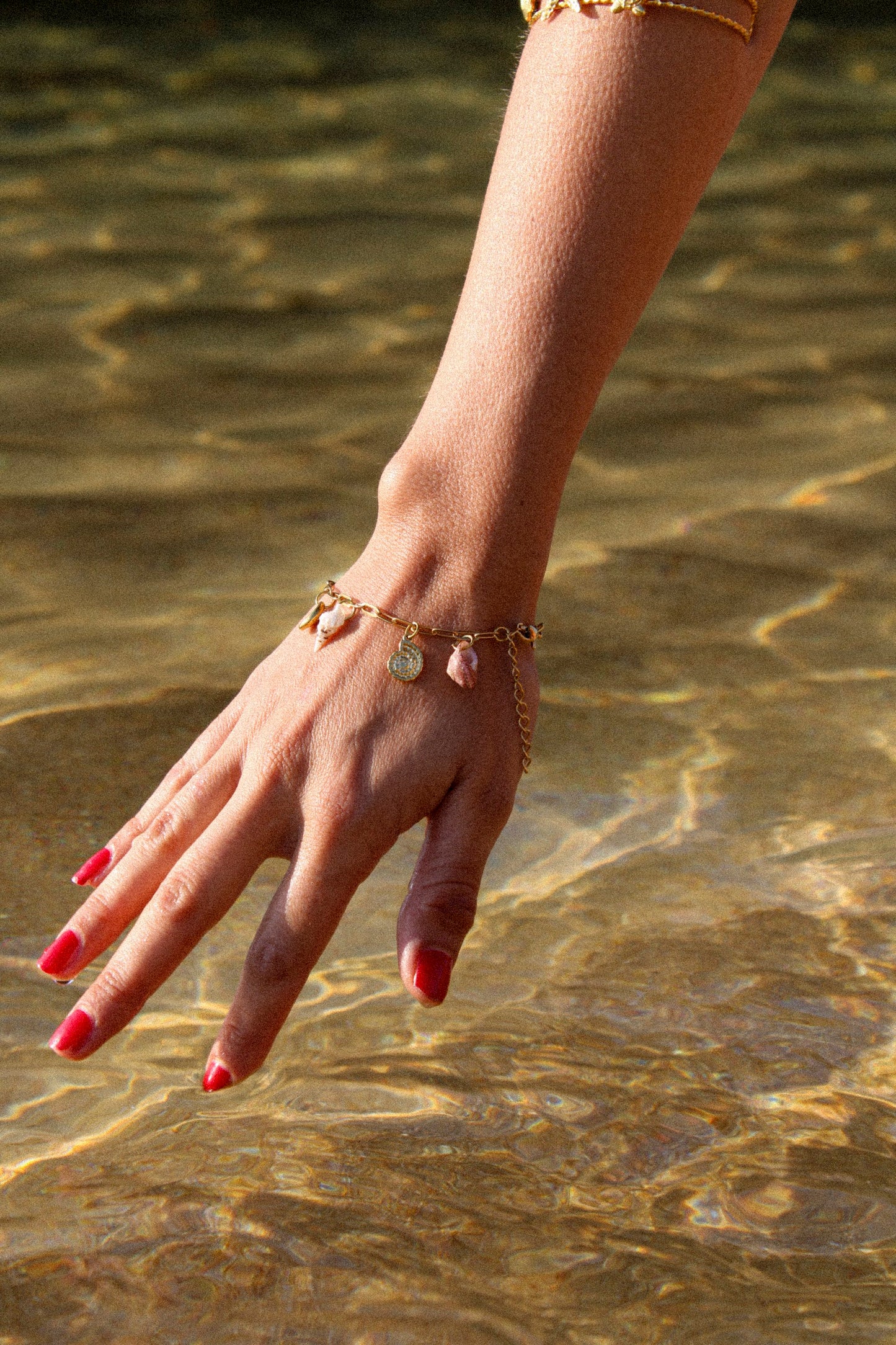Pūpū kai Bracelet
