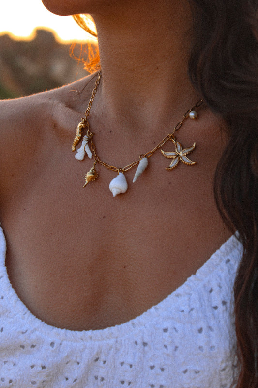 Charm Necklace with natural shells