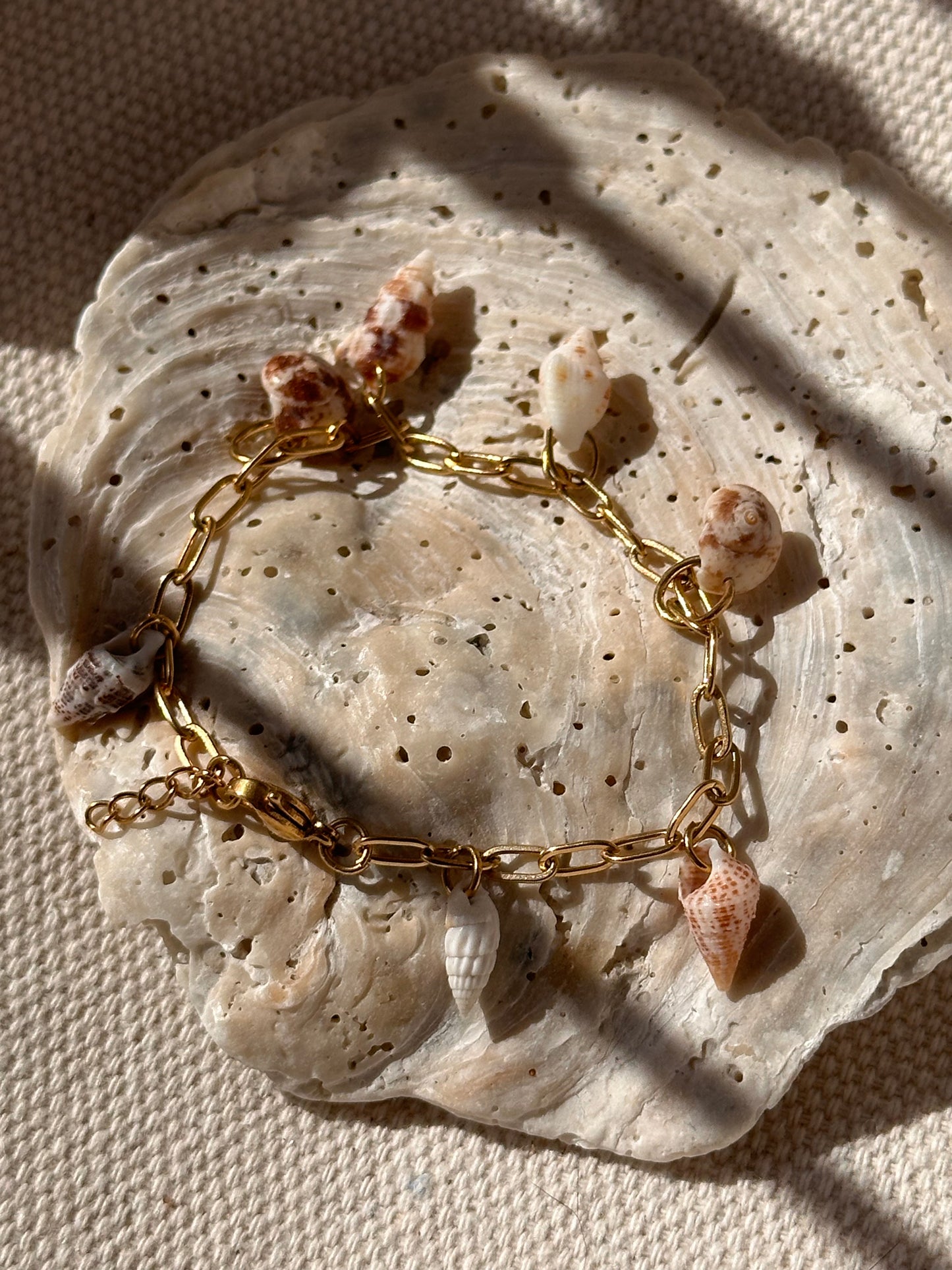 Shell Bracelet