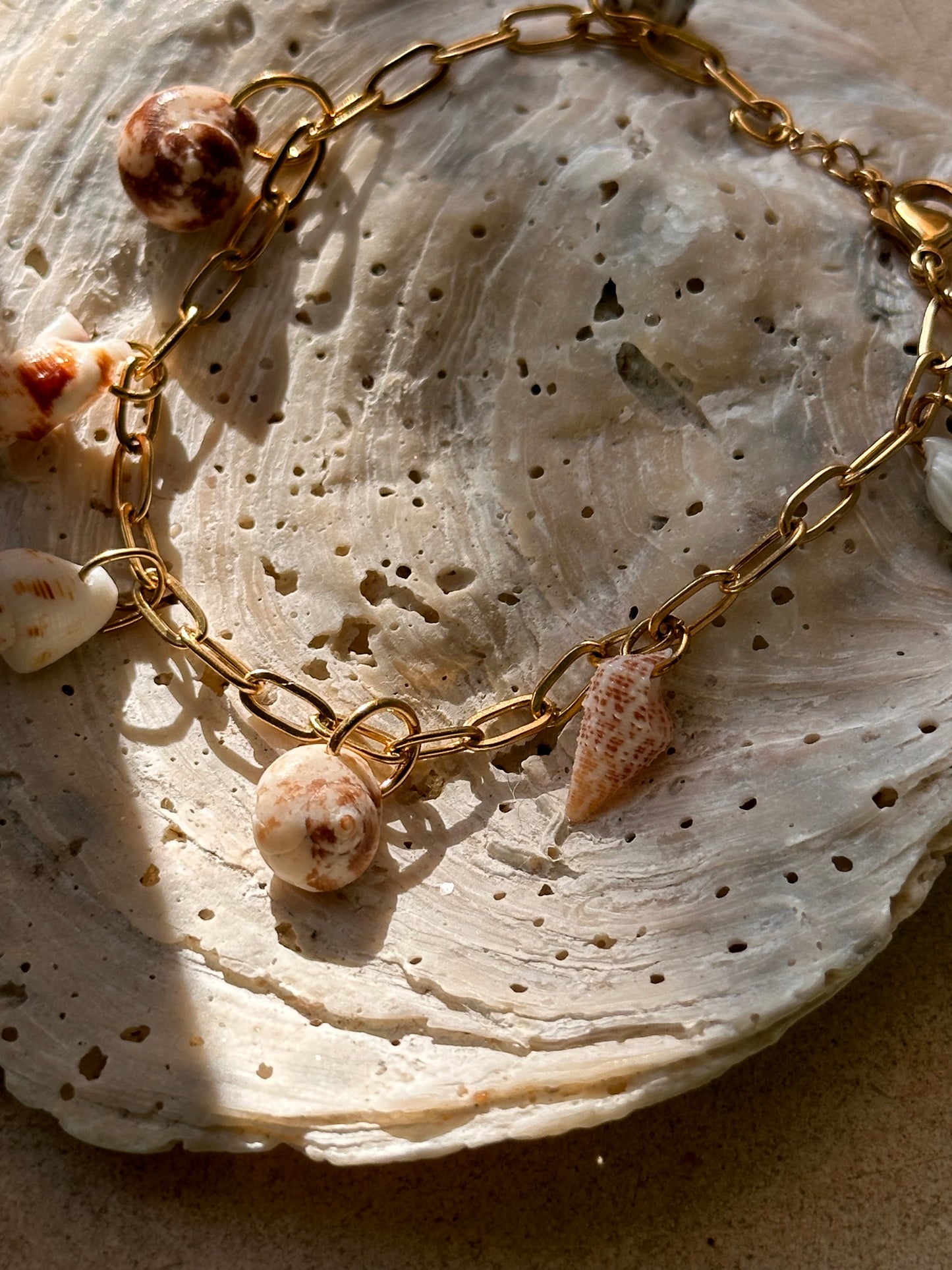 Shell Bracelet