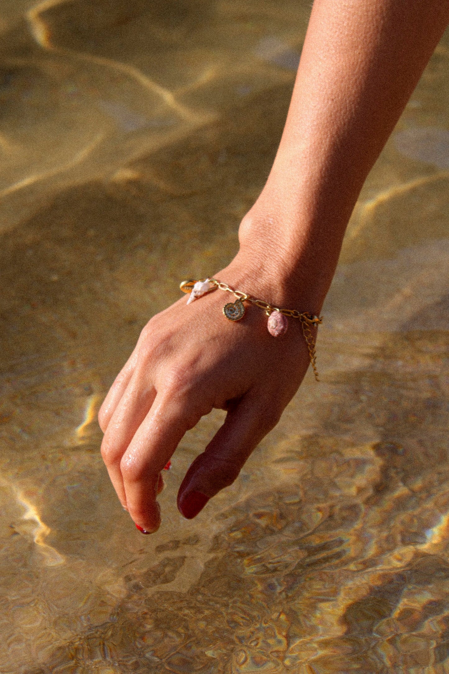 Pūpū kai Bracelet