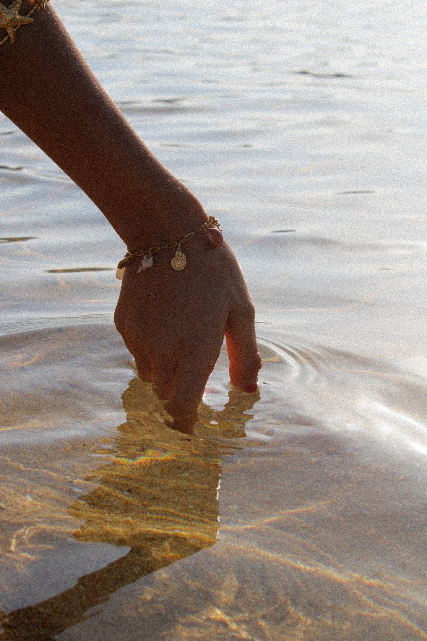 Pūpū kai Bracelet