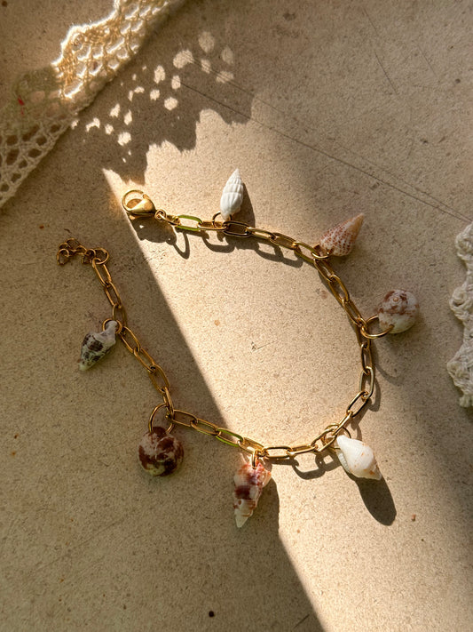 Shell Bracelet